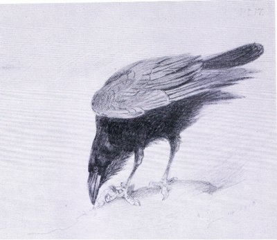 Raven, pub. by Book Club Associates 作者 阿奇博尔德·索伯恩