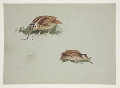 伍德科克的两个小插图，约 1915 年（纸上铅笔水彩和体色） 作者 阿奇博尔德·索伯恩