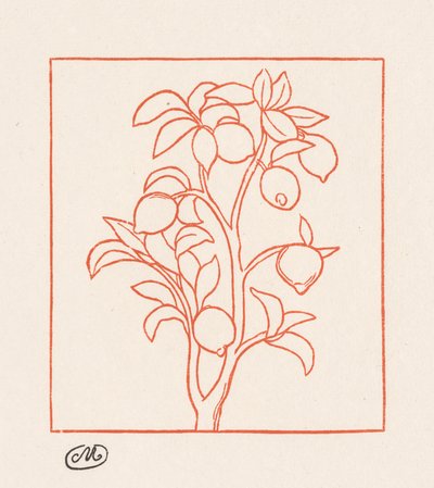 乔治亚经》：柠檬树 作者 阿里斯蒂德·马约尔
