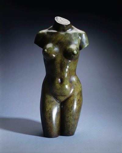 一个年轻女子的躯干 作者 阿里斯蒂德·马约尔