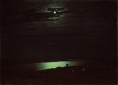 第聂伯河上的月夜，1880年 作者 Arkhip Ivanovich Kuindzhi