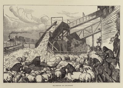 在辛辛那提的猪驾驶 作者 Arthur Boyd Houghton