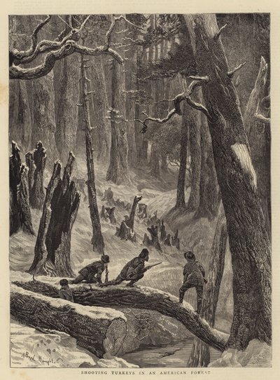 在美国森林里射击火鸡 作者 Arthur Boyd Houghton