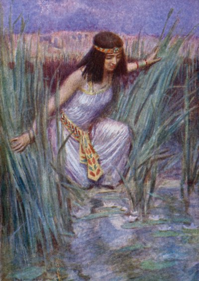 莲花（彩色平版） 作者 亚瑟 C.（后）迈克尔