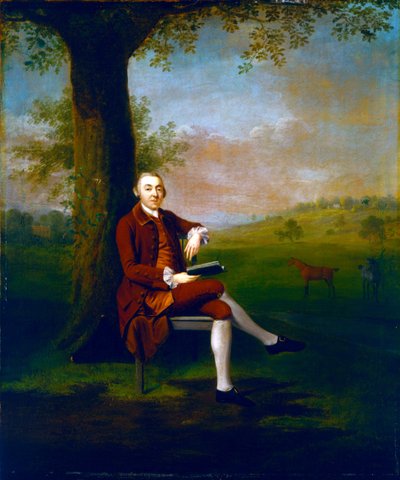 肖像可能是John Trevor，圣安妮山的第三男爵Trevor，Surrey和Trevalyn Hall，Denbighshire，1763 作者 亚瑟·戴维斯（Arthur Devis）