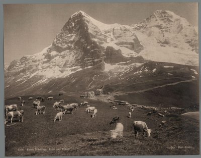 伯尔尼高原 Kleine Scheidegg 上的奶牛，背景为艾格峰和门奇峰
Kleine Scheidegg，Eiger und Moench（标题见实物） 作者 无名氏