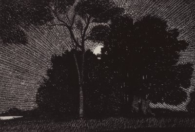 在山毛榉绿（石版画）的一些悠扬情节中 作者 亚瑟·乔治·沃茨（Arthur George Watts）