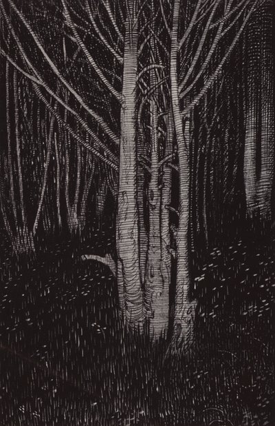 Mydnyght was cum (litho) 作者 亚瑟·乔治·沃茨（Arthur George Watts）