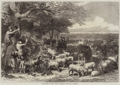 Bois de Boulogne的巴黎，牛和羊的防御 作者 Arthur Hopkins