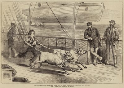 来自印度的Prince&39;s Voyage Home，Serapis上的生活，锻炼Gainees 作者 Arthur Hopkins