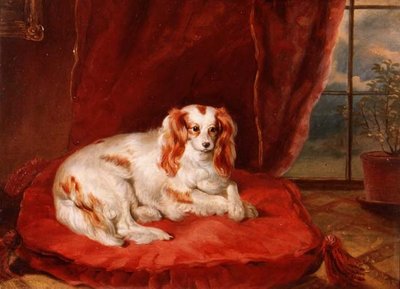 躺在红色垫子上的查理王小猎犬 作者 亚瑟·斯塔克