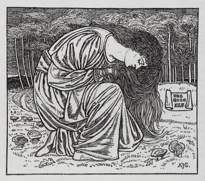 Hans Christian Andersen: The Rose Elf (litho) 作者 亚瑟·约瑟夫·加斯金