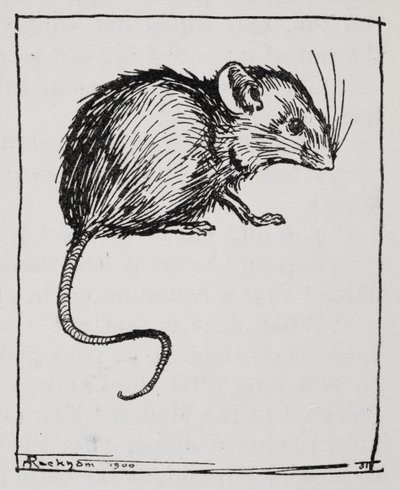 一个鼠标 作者 亚瑟·拉克汉姆（Arthur Rackham）