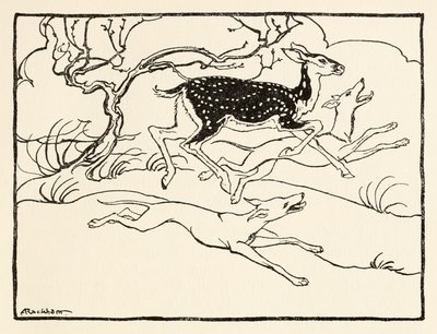 Becfola来自爱尔兰童话故事中的Becfola求爱的战车 作者 亚瑟·拉克汉姆（Arthur Rackham）