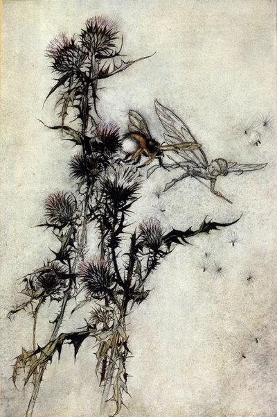 阿瑟-拉克姆（1867-1939）为威廉-莎士比亚的《夏夜之梦》绘制的插图 作者 Arthur Rackham