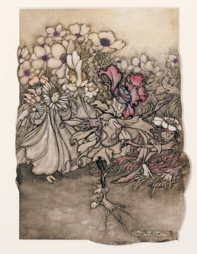 JM Barrie（1860-1937）1906年在肯辛顿花园的彼得潘的插图（纸和笔在纸上的墨水） 作者 Arthur Rackham