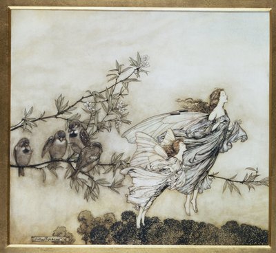 仙女有他们的Tiff with the Birds，1906年插图为肯辛顿花园的Peter Pan by JM Barrie，pub。 1906年（墨水和厕所） 作者 Arthur Rackham