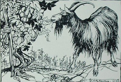 山羊和藤蔓》，插图来自《伊索寓言》，由海涅曼出版。 作者 亚瑟·拉克汉姆（Arthur Rackham）
