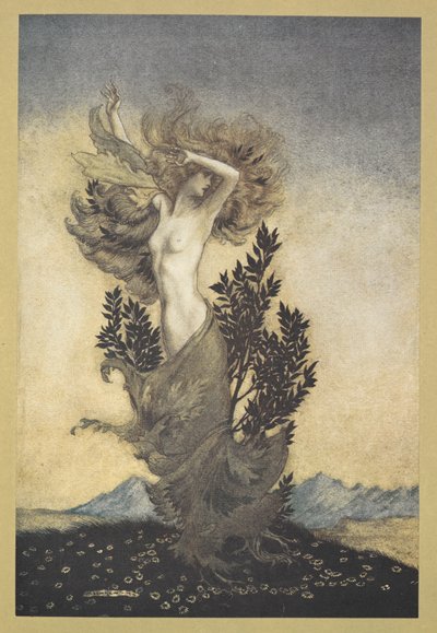 ......就像达芙妮一样，根深蒂固，逃离了阿波罗。 作者 亚瑟·拉克汉姆（Arthur Rackham）