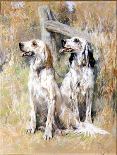 英国赛特犬 作者 亚瑟·沃德尔