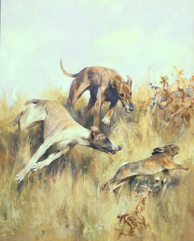 灰狗在追逐（水粉画纸） 作者 亚瑟·沃德尔
