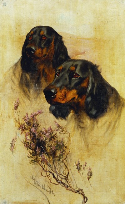 两只戈登赛特犬（布面油画） 作者 亚瑟·沃德尔