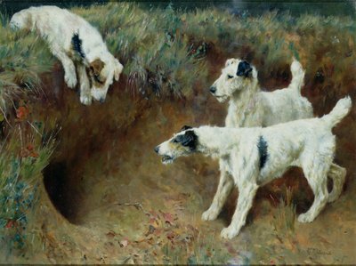 一套獾旁的线毛狐梗犬 作者 亚瑟·沃德尔