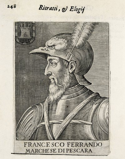 费尔南多-弗朗西斯科-阿瓦罗斯（1490-1546 年）。西班牙将军。Xylography.西班牙。马德里（自治区）。马德里。国家图书馆 作者 艺术家未知