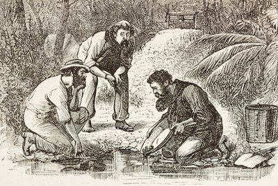 澳大利亚（1880 年）。植物湾（建于 1788 年）淘金者的生活。雕刻。私人收藏 作者 艺术家未知