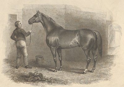 美国日蚀，1824年。 作者 阿舍·布朗·杜兰德