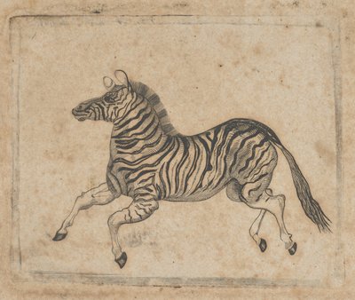 显示斑马的纸币图案，约1824-37年。 作者 亚瑟·布朗·杜兰德。