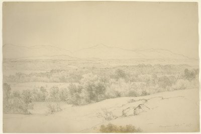 风景，巴里镇，纽约，1865年（石墨与棕色纸上的树桩） 作者 Asher Brown Durand