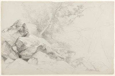 研究与树木的岩石，海牙，乔治湖，纽约，1862年（石灰在灰纸上） 作者 阿舍·布朗·杜兰德