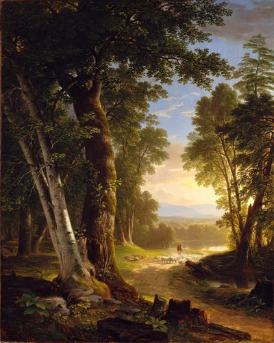The Beeches，1845 作者 Asher Brown Durand