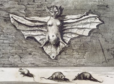 飞猫，1667 作者 阿塔纳修斯·基歇尔