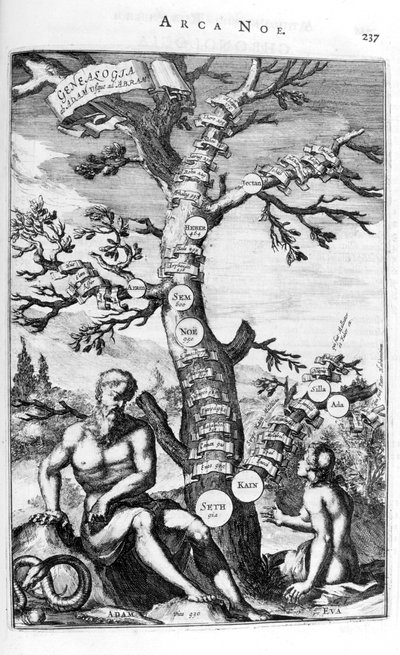亚当的家谱树，1675年。 作者 阿塔纳修斯·基歇尔