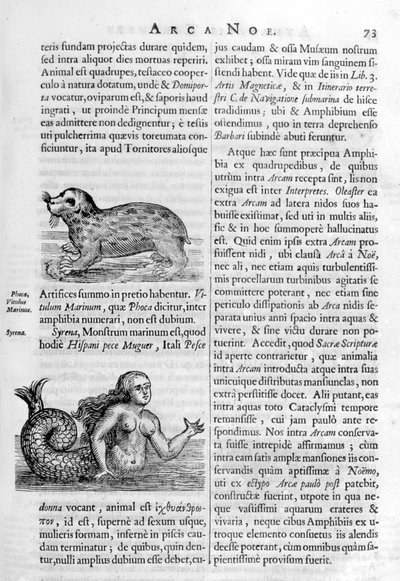 神话生物，1675年。 作者 阿塔纳修斯·基歇尔