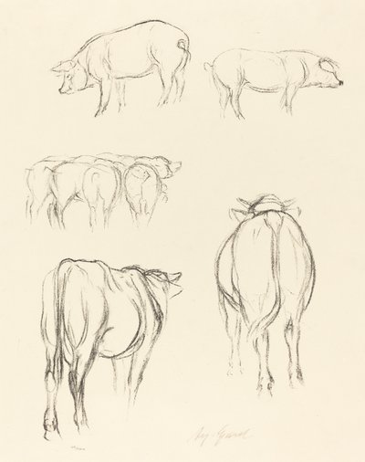 动物素描 作者 奥古斯特·高卢