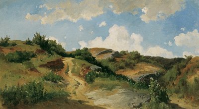 匈牙利风景 作者 来自Wienwald的August Schaeffer