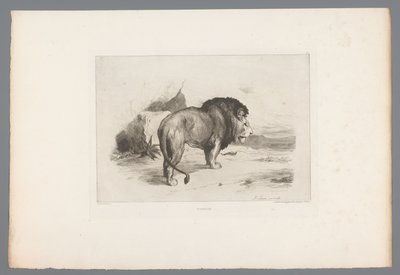 狮子
Un vieux lion（物上标题）
1874 年的法国蚀刻版画（系列名称）
L