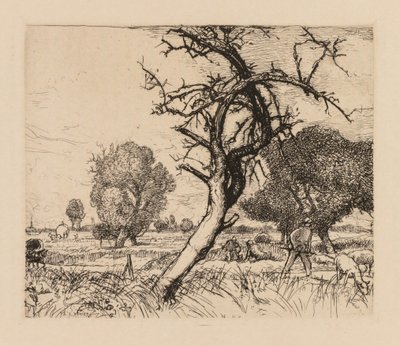 奥古斯特·莱佩（AugusteLepère）：1913年Le pommier mort Picardie。 作者 奥古斯特·路易斯·勒佩尔