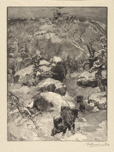 枫丹白露森林：库维尔-夏蒂永悬崖 作者 A. Desmoulins，发表于 Revue Illustrée