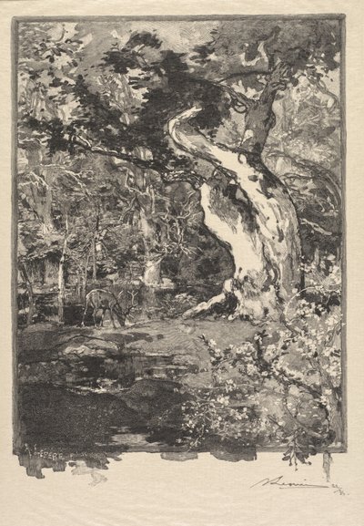 枫丹白露森林：勒克洛维，贝勒克鲁瓦高原（枫丹白露森林：贝勒克鲁瓦高原，勒克洛维） 作者 A. Desmoulins，发表于 Revue Illustrée