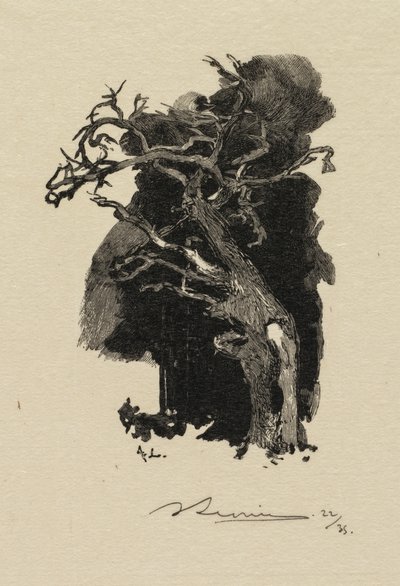 枫丹白露森林：肆虐者 作者 A. Desmoulins，发表于 Revue Illustrée