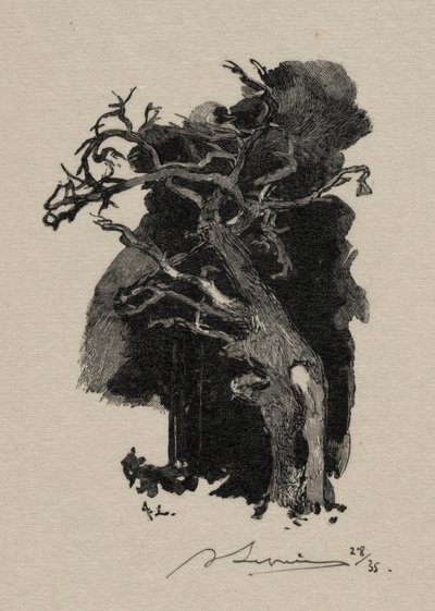 愤怒。 作者 奥古斯特·路易斯·勒佩尔