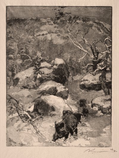 罗氏（Roche）Cuvier Chatillon，1887年。 作者 奥古斯特·路易斯·勒佩尔