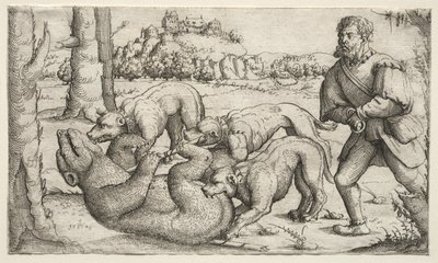熊狩猎，1569年。 作者 奥古斯丁·赫希沃格尔