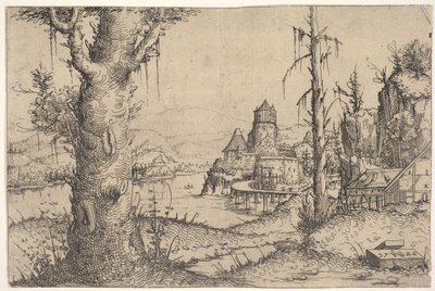 1546年，左侧有大树的河流景观。 作者 奥古斯丁·赫希沃格尔