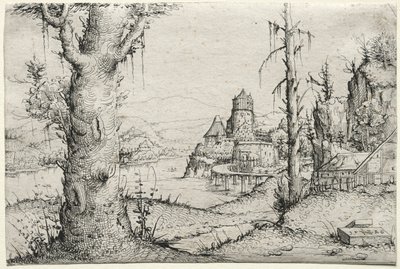 与左大树的河道景观，1546年。 作者 奥古斯丁·赫希沃格尔