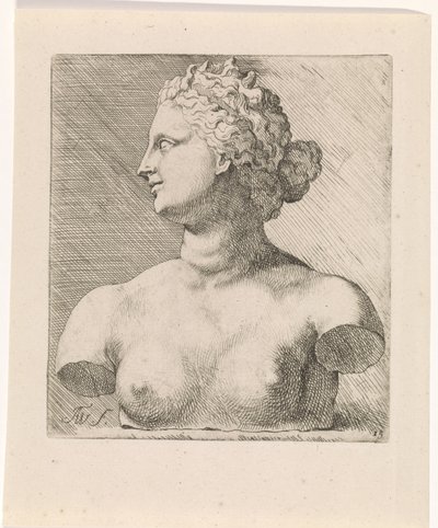 美第奇的维纳斯半身像，侧面左侧
根据安东尼-凡-戴克（Anthony van Dyck）的古典雕塑和人物（系列名称）绘制的画册研究报告 作者 奥古斯丁·特韦斯顿（一）